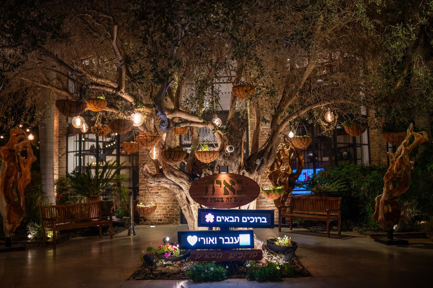 גאיה: כניסה עם עץ זית